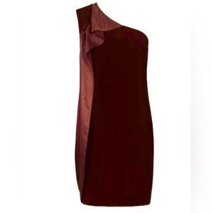 All Saints One-Shoulder Burgundy Dress